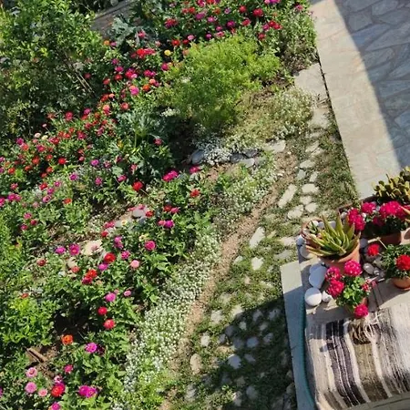 Hébergement de vacances Meraki *