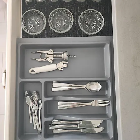 Meraki Σκόπελος
