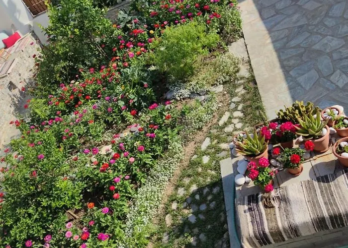 Vakantiehuis Meraki *